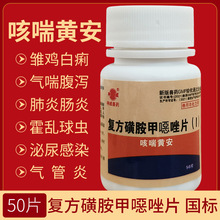 �Fș�ͷ��ǰ��������Ƭ�F�����i�S�������󸹞a�u��ș���xș�c��