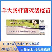 ���������ș���ؑ��d��ɽ����c�U�������������������a��ϡ