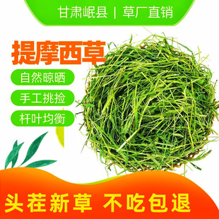 24����Ħ���ݸɲ���Z��؈�����i���ϕ�����ĥ�����һ��ֱ�l