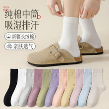 �ﶬ�m��Ů��Ͳ�m�o�Ǽ��޼�ɫ����������͸��������ޱ�ůŮ�m��