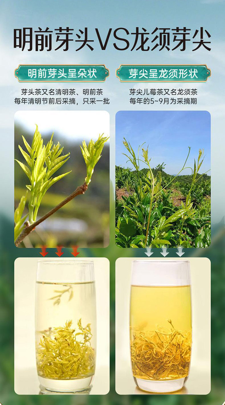 Wild Mei Tea Zhangjiajie Premium Wild Vine Tea 500g Pre-Qingming Purple Gold Bud Tips Hot Brew Herbal Tea overview