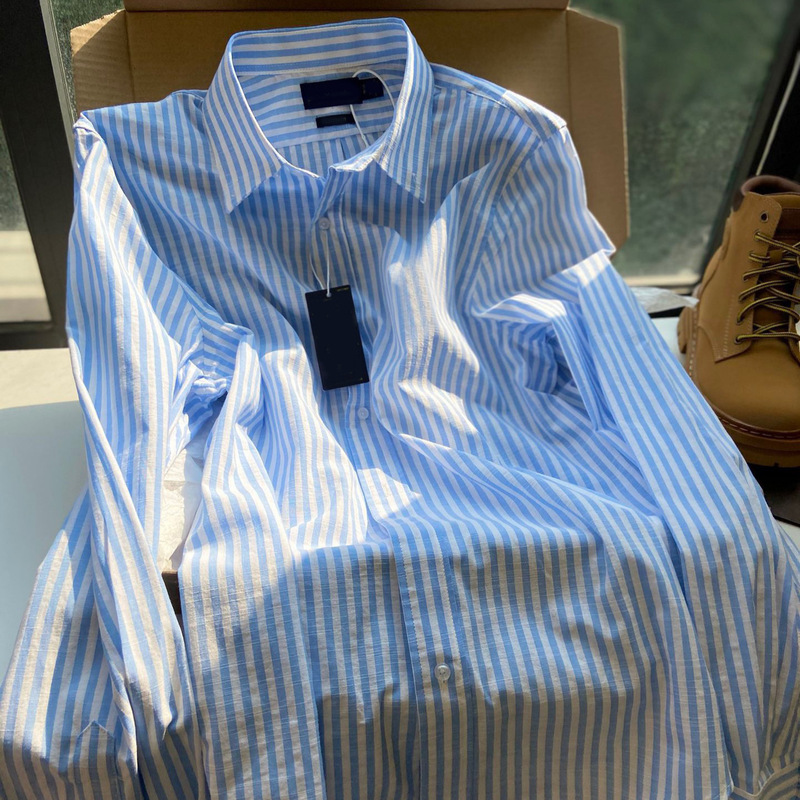 Autumn 2025 Blue Striped Cotton Linen Long Sleeve Shirt Loose Thin Linen Shirt Women Casual Top