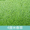 4 cm grid encrypted spring grass
