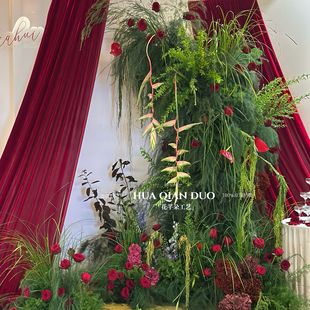 �W�t�nϵins�J���ݷ��滨ɭϵ�Gֲ��c������b鷿�Ɍ�����