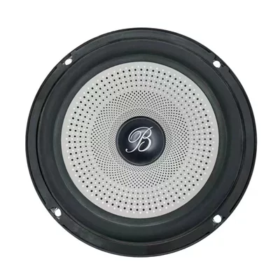 Car speaker/subwoofer — genuine factory-disassembled Burmester car