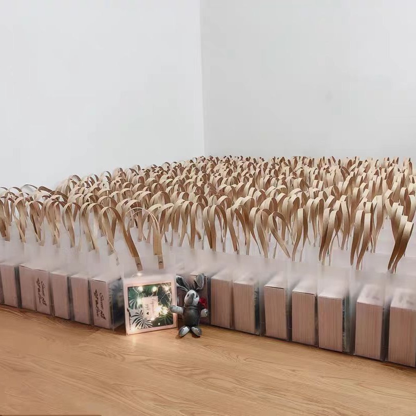 半透明礼品袋手提袋 喜糖伴手礼化妆品手拎袋子 首饰零食袋子