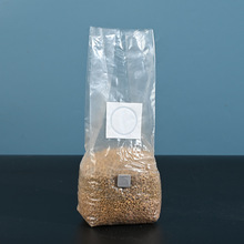 现货供应18*35*8丝食用菌全氧栽培袋PP抗温隔菌透气菌袋接种袋