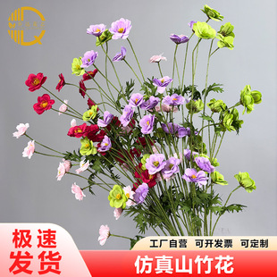 ���滨ɽ�񻨽����Ҿ�С�����b[��ins�ɻ������b廨�ٻ���