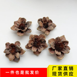 ��ľ��������ֹ��ɻ� ֲ�������ɻ����l ��޹�廨�[���b���