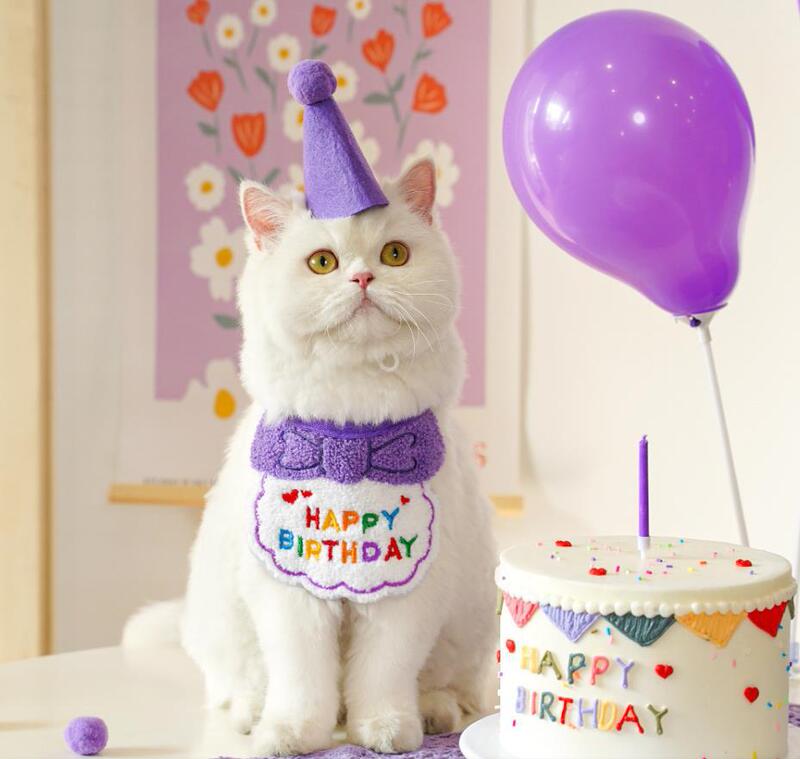 宠物狗狗猫咪生日派对装饰装扮围脖拍照道具围巾帽子围兜蛋糕蜡烛|undefined
