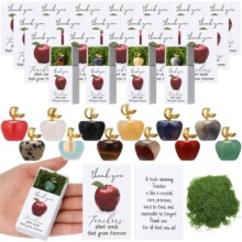�羳Teacher Appreciation Crystal Apple Gift Set�O���Y�����b