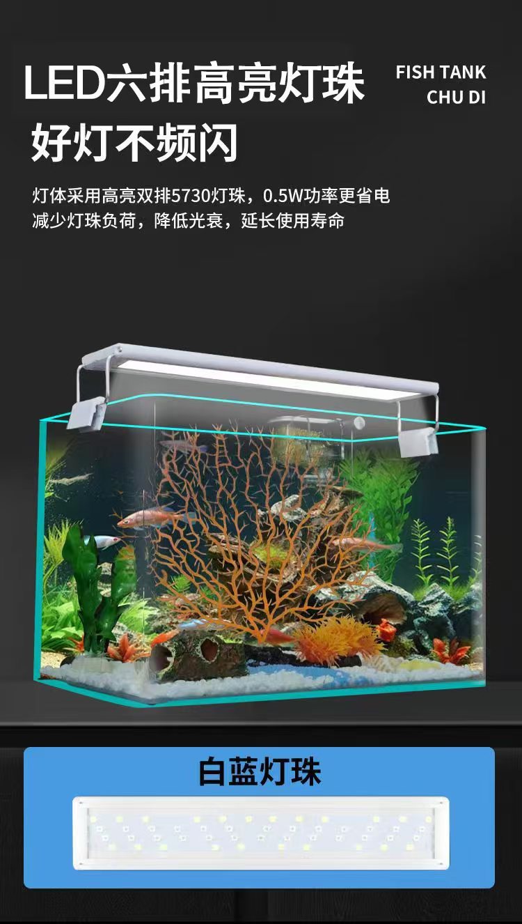 4dd87a42-969e-4d9a-b57b-26c6c1bf71e4.jpe