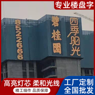 Mesh an Luminous Words Led Real Estate Luminous Words Hanging Net Luminous Words Pull Net Luminous Words Rainbow Words Inkjet Printing