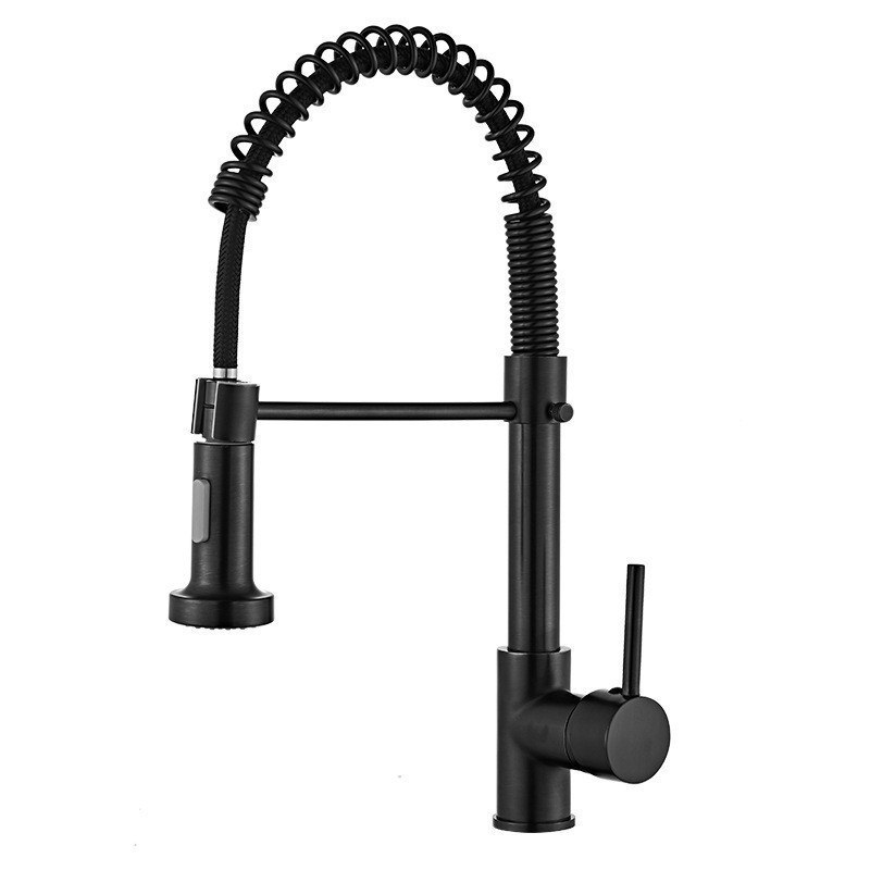 Grifos de cocina de acero inoxidable grifos de primavera transfronterizos para la cocina mayorista lavabo doble función grifos de agua caliente y fría