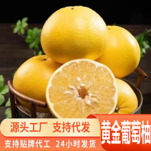 源头一件代发黄金葡萄柚子整箱新鲜当季水果云南福建蜜柚