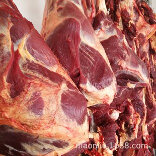 ���r��ţ�� ��ԭ��ţ���Ｙ����ţ��ţ���� ţ�Ź� ţ������