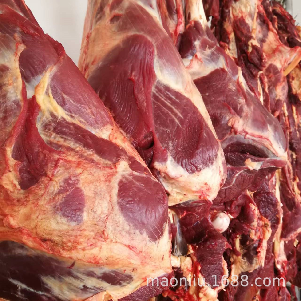 新鲜牦牛肉 高原耗牛肉里脊吊龙牛腩牛腱子 牛排骨 牛后腿肉
