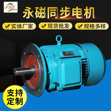 稀土永磁电机 钕铁硼材质 新能源汽车专用 转速恒定  同步性能好