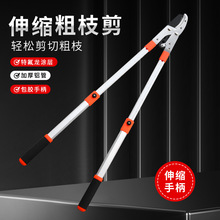 伸缩粗枝剪剪枝剪刀果树修枝修剪神器大力剪园林粗枝剪修枝剪跨境