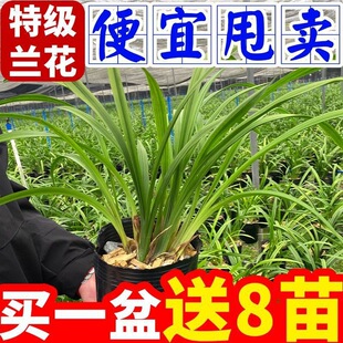 �������m��ޥ�m�����_�M���҃Ⱥ��B�׻�Gֲ���������ļ���������