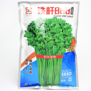 �ļ����F�U888��˷N�ѷN�� ���~�߮a�͟��ͺ��������߲���ϻ���