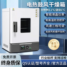電熱鼓風干燥箱恆溫箱烘箱實驗室烘干箱機工業立式烤箱qs認證設備