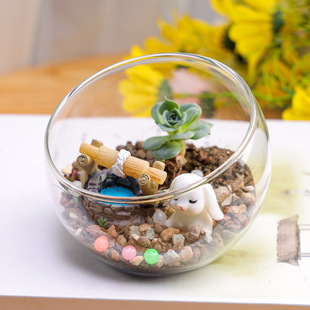 Supply transparent oblique glass succulent Moss hydroponic flower device ecological micro landscape glass crafts
