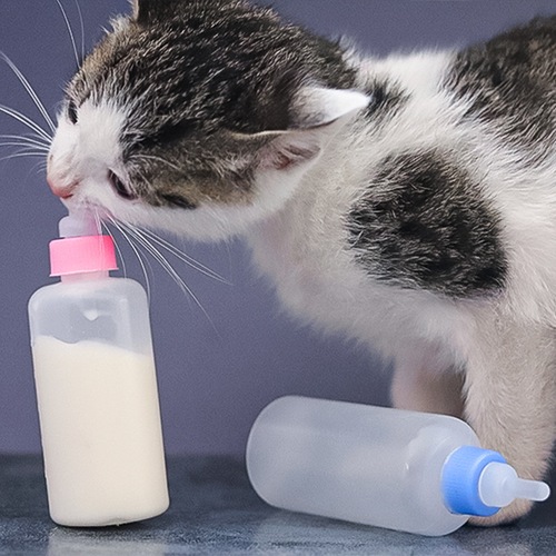 Pet Supplies Cat Bottles Kitten Bottles Kitten Newborn Pets Puppy Feeders Cat Supplies Pet Pacifiers