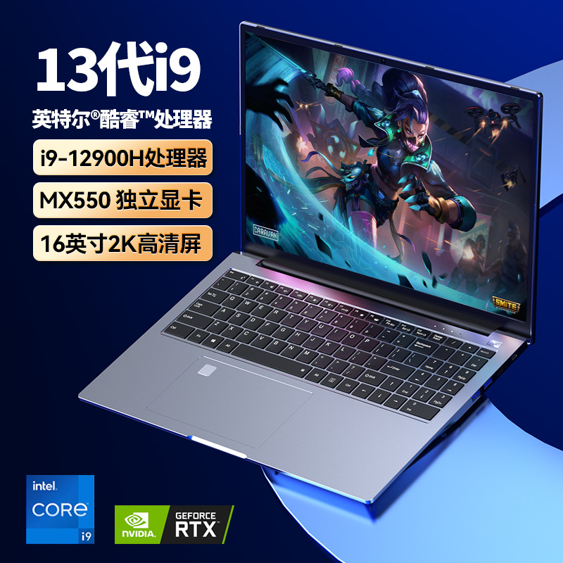 Core i9-13900h+mx550 independent graphics