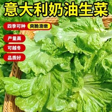 ��������������ļ�����ﶬ�������_�R���~���~��ȫ�·N�N��ˮ��