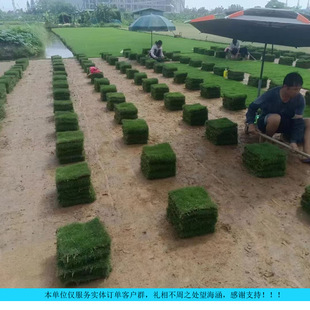 ���̌���̨���ݴ��~�Ͳ��R������Ƥ����ֱ�l���M�ṩ�Nֲ���gָ��