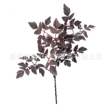 �羳��������ж��~��ɫ�҃����f�}���b������~��ƿ�پGֲ����~