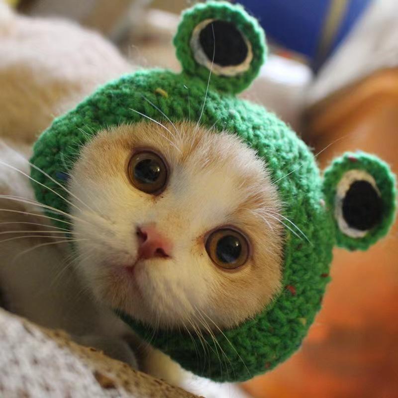 宠物头套猫咪狗狗编织帽子道具头饰搞笑变身服批发|undefined