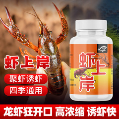 エビが上陸して釣りをします。