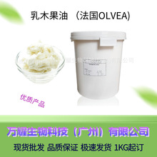������ľ����OLVEA������Ȼֲ�������ԝ��w�鱣��āƤ�w���l