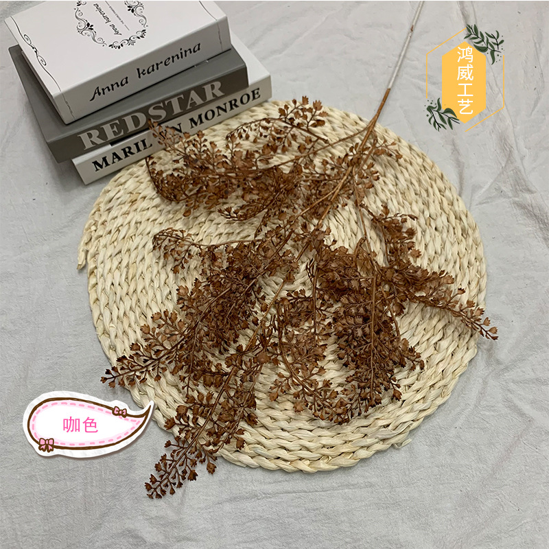 다크 브라운