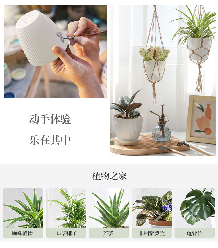C77-详情_05.jpg