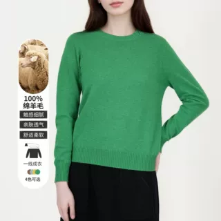 100WOOL濮院羊毛女秋冬韩版通勤针织衫女百搭圆领BN699时尚百搭