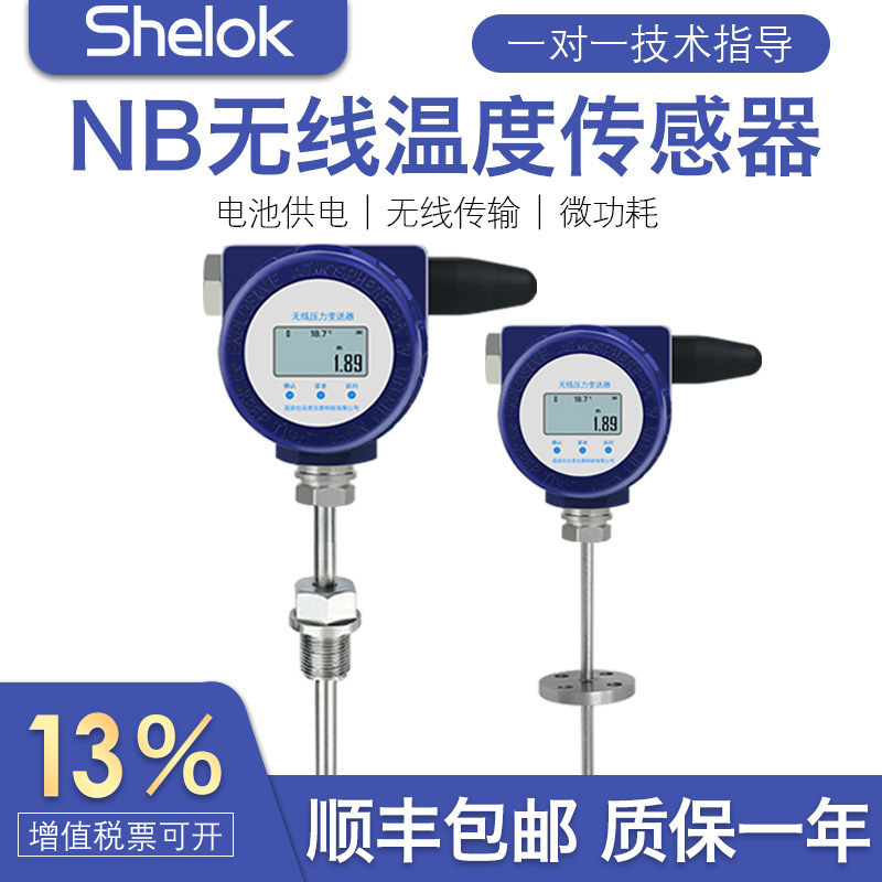 Lora Wireless Temperature Sensor NB4G Wireless Temperature Sensor Transmitter