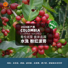 哥伦比亚花月夜艾斯维多加汀庄园厌氧日晒精品咖啡生豆2023产季