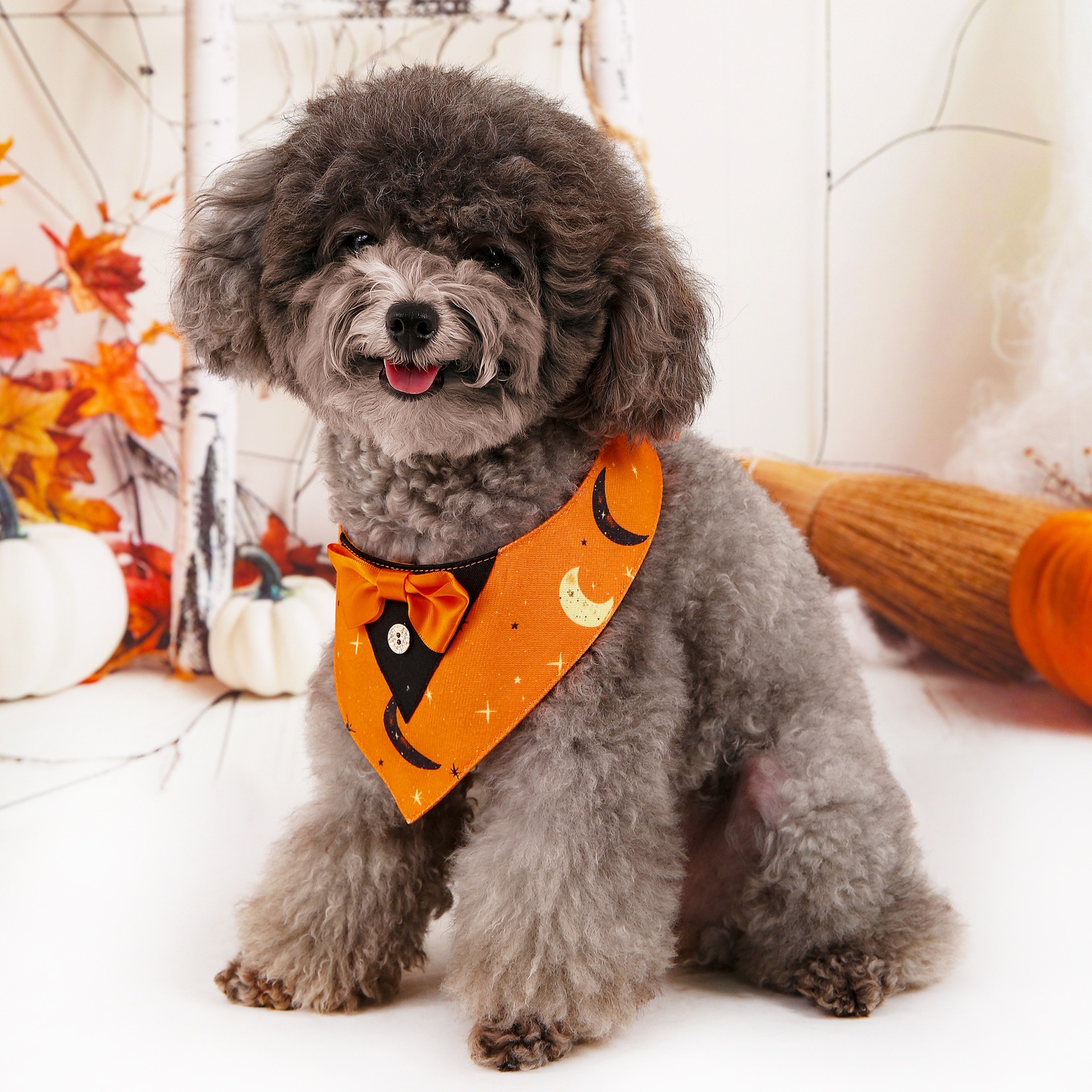 Halloween nuevo traje de mascotas toallas triangulares toallas de saliva collar de mascotas fábrica de ropa de perro en stock