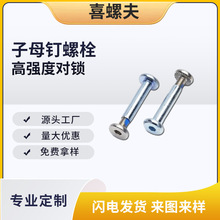 �S�ҹ����ǘ����Ь��ĸ���˨  ��Ӣ�Ƹߏ��Ȍ��i��ĸ���˨