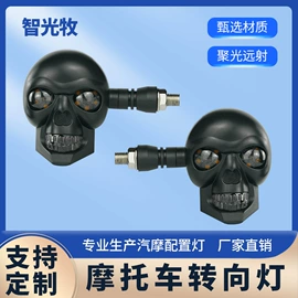 摩托车灯;工作/检修灯;牌照灯