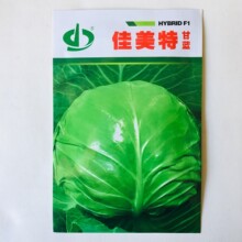 京丰甘蓝种子种籽苗大头菜包菜草籽早熟耐寒抱球紧秋季蔬菜四季