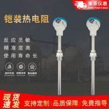 PT100������͸ߜع��I�����߾��ȜضȂ������b��ʽ�z�b�����