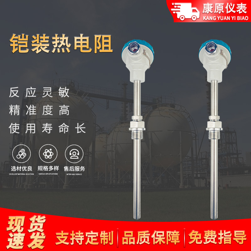 PT100热电阻耐高温工业热电阻高精度温度传感器装配式铠装热电阻