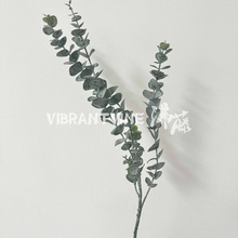 insWL˪ָȼX~͏d廨[ҾbGֲ