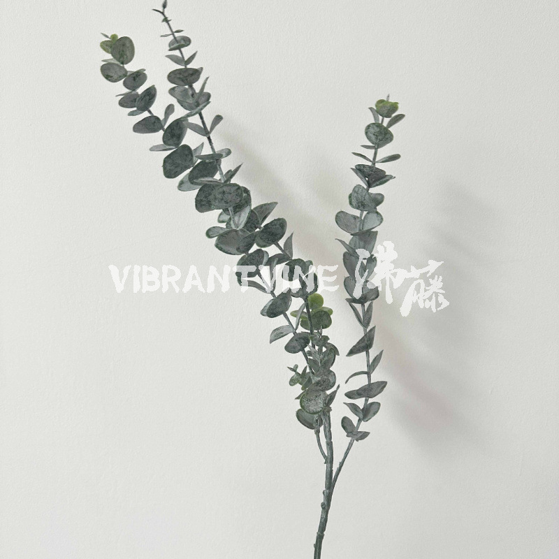 Ins Scandinavian Style Hanging Frost Feel Eucalyptus Money Leaf Living Room Flower Arrangement Ornaments Home Decoration Simulated Green Plants