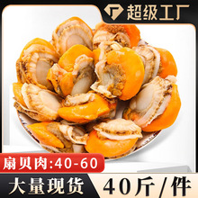 特大扇贝肉40-60扇贝肉40斤/件鲜冻带黄扇贝肉商用批发海鲜源头