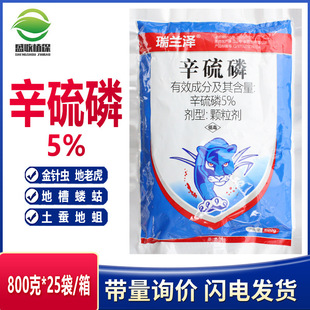 5%�������w���������xș���Q�ػ�ϓ����x���������º��x���x��